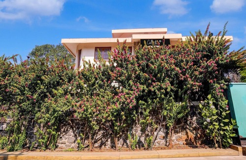 Tungarli House | Collection O Gold Valley Misty Royale