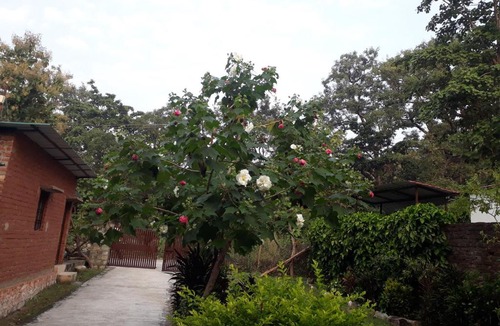 Bail Parao House | Corbett Green Orchard
