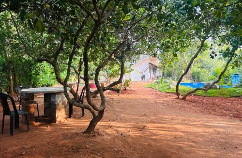 Bommayapalayam House | Cozy haven