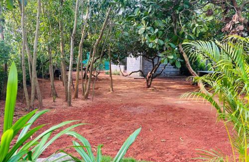 Bommayapalayam House | Cozy haven