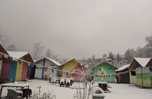 Manali Cabin | Creekside Camps