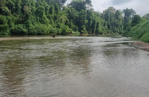 Kuala Tahan Other | D'Tahan Campsite Taman Negara