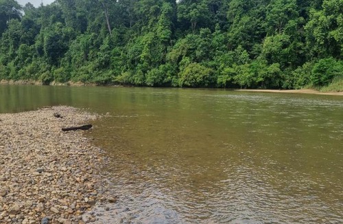 Kuala Tahan Other | D'Tahan Campsite Taman Negara