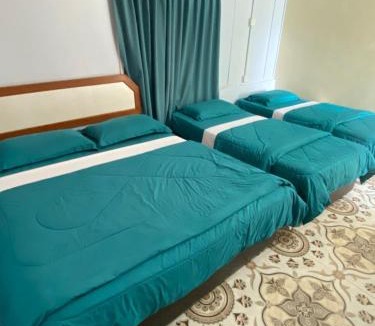 Kuala Tahan Hotel | D view hill hotel