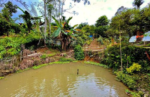 Ranau House | DA Family Mini Garden