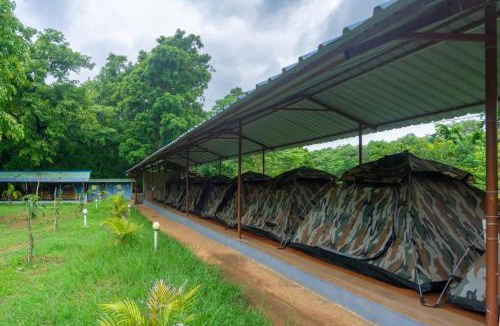 Dandeli Resort | Dandeli Vintage Resort - Dandeli Resort