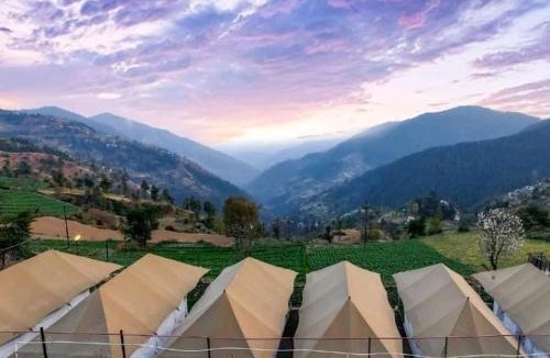 Shimla Bed & Breakfast | Dawn n Dusk glamping by Skylight Retreat Chail