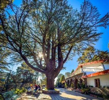 Landour House | Devdar Woods - An LVB Experience