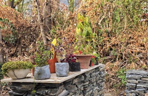 Sidhpur Apartment | Dhauladhar Inn Dharamshala