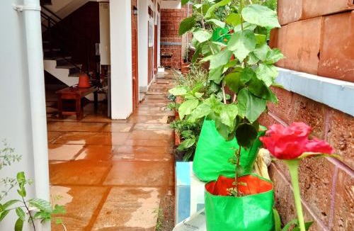 Adyar House | DhruvDhanush-3 -the eco friendly homes