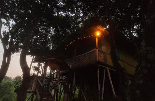 Rangamati Hill District Resort | Dhupchaya Nature Retreat