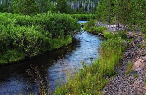 Bend Resort | Discover impressive restaurants and breweries!
