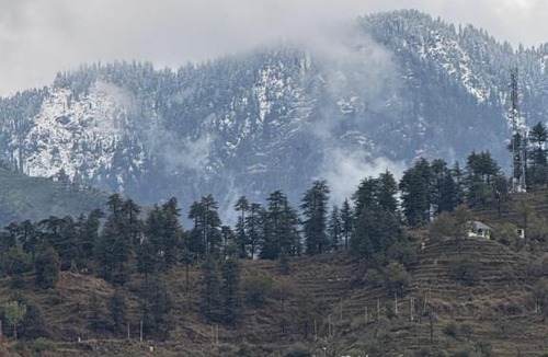 Chindi House | Divine Valley A boutique Homestay Karsog