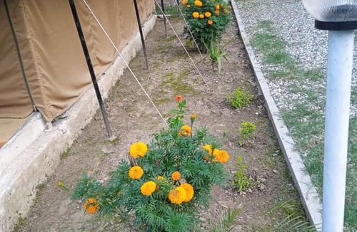 Rajgarhi Resort | DJSR Resort