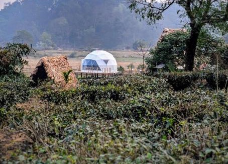 Samaguri Other | Domestay in Kaziranga