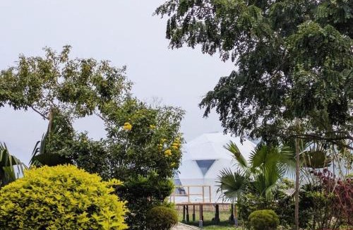 Samaguri Other | Domestay in Kaziranga