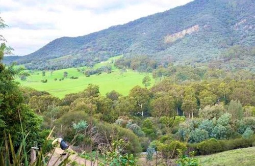 Eildon Hotel | Eildon Parkview Motor Inn. Room 5