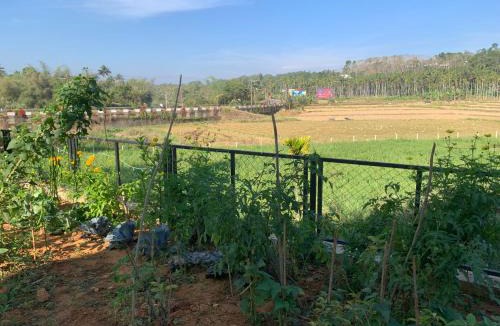 Mananthavady Cabin | Elysian