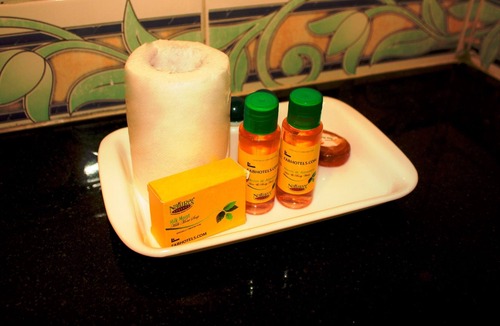 Vasco da Gama Hotel | Fabexpress Villa De Vasco