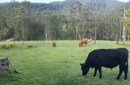 Caparra House | Farm House