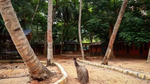 Thiruthani House | Farm Shaala