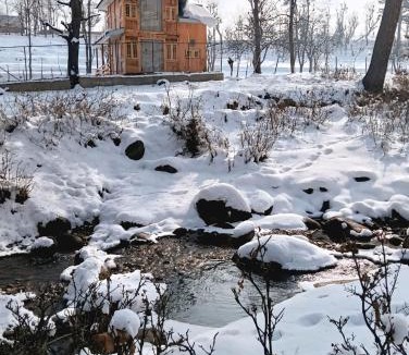 Srinagar Ski Chalet | Forest Cabin Stay in Doodpathri - Perfect for Couples, Bonfire, BBQ