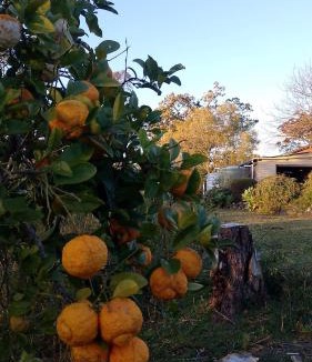 Elands House | Frogmouth Farm
