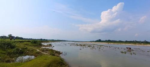 Neora Hotel | Goldee Wildlife Retreat