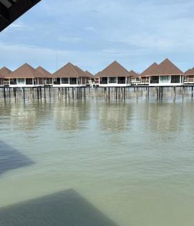 Kampung Bagan Lalang Resort | Golden Palm Tree Resort Sepang Avani
