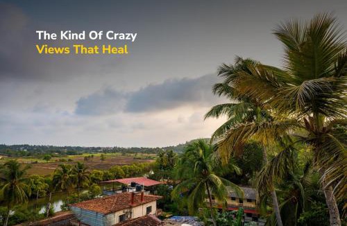 Baga Hostel | goSTOPS Goa, Baga