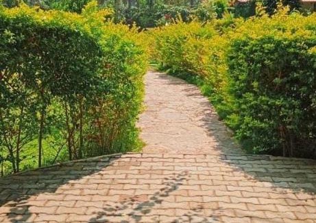 Channapatna House | Greenline Farm Stays with swimming pool