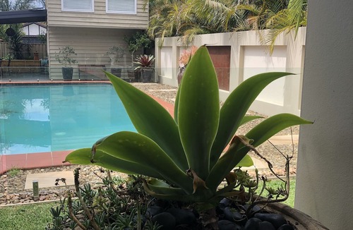 Canterbury House | Guesthouse with Pool & BBQ - 10 kms from CBD
