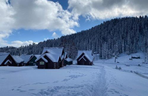 Srinagar Hotel | Gulmarg Woods By Stay Pattern