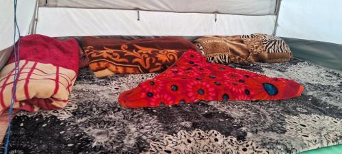 Gulmarg Other | Gurez valley camping site