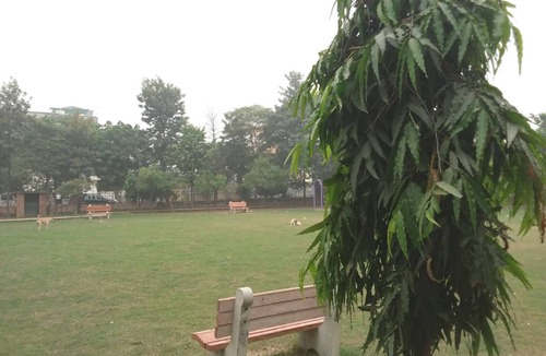 Greater Noida House | Handa Villa in Greater Noida