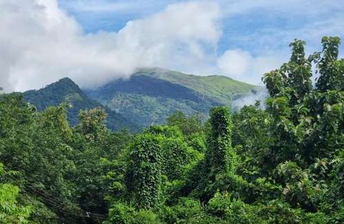 Malampuzha-I House | Happy Home Stay
