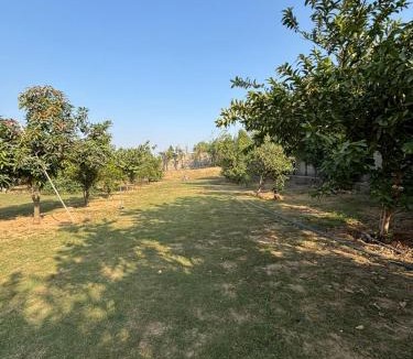 Gurugram Villa | Haven Farm Stay , Pool , Cricket , 3BR , NCR