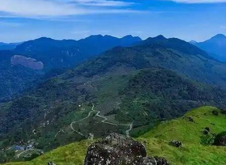 Nedumangad Villa | Haven roots