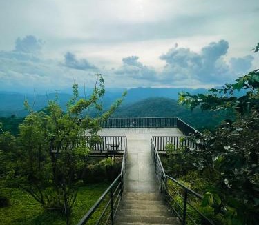 Chinnakanal Resort | Haze and Kites Resort Munnar