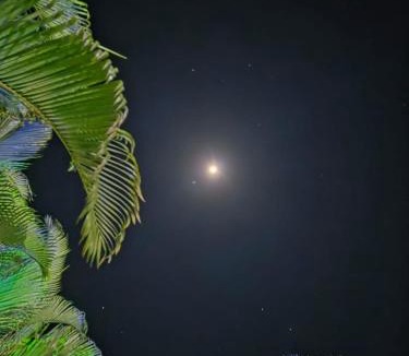 Kadadhe Resort | Hill side Villa