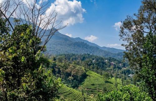 Kunnathidavaka Resort | Hill View Vythiri Holiday Home