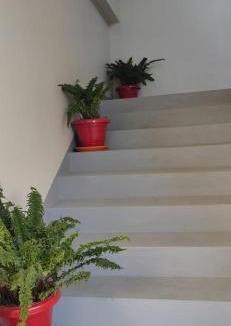 Cherrapunji Hotel | HILLSCAPE