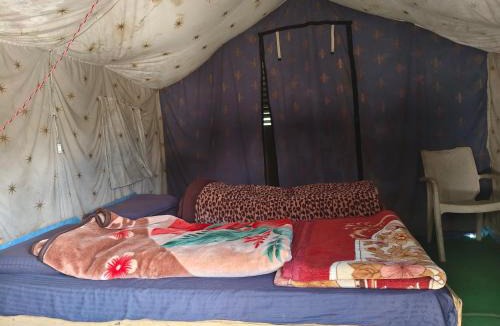 Dugalbitta Other | Himalayas camping chopta tungnath