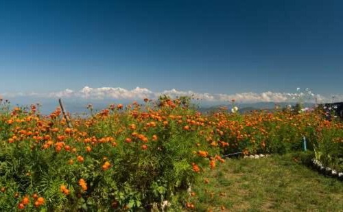 Kaul Hotel | HimView Camp Mukteshwar