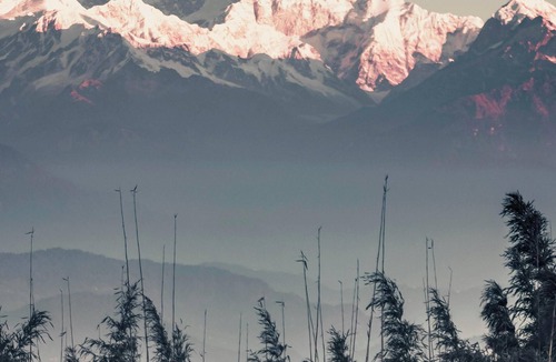 Darjeeling House | Home in the lap of nature In a peaceful location. Darjeeling