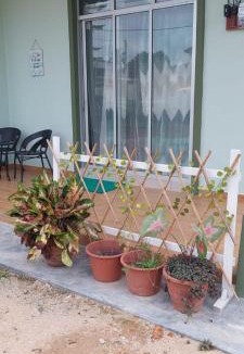 Beringin House | Homestay Melaka Kiut 6 to 8 pax