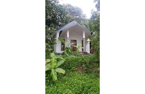 Civil Station Villa | Honeymoon villa-Green,eco friendly, Natural,tribal life, village resort