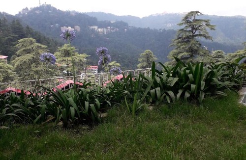 Shimla Hotel | Hotel Lords Regency - Connected to the Mall Road