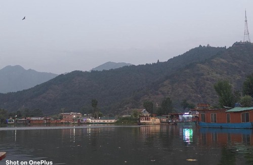 Srinagar Hotel | HOTEl momin