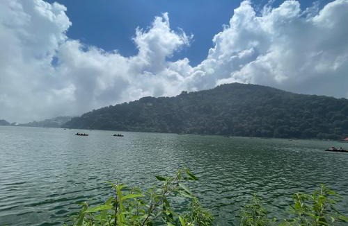 Darjeeling Hotel | Hotel Orchid darjeeling